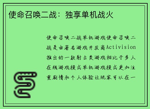 使命召唤二战：独享单机战火